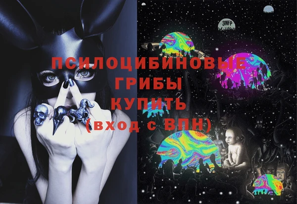 ПСИЛОЦИБИНОВЫЕ ГРИБЫ Новодвинск