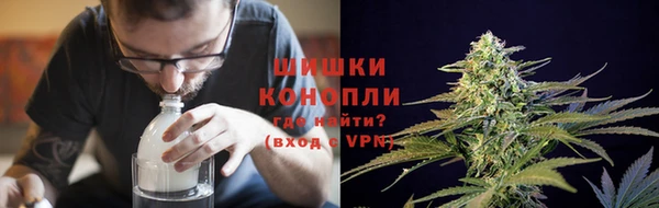 ПСИЛОЦИБИНОВЫЕ ГРИБЫ Новодвинск