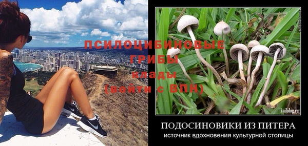 ПСИЛОЦИБИНОВЫЕ ГРИБЫ Новодвинск