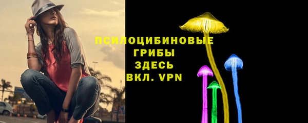 герыч Пересвет