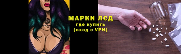 гидропоника Пестово
