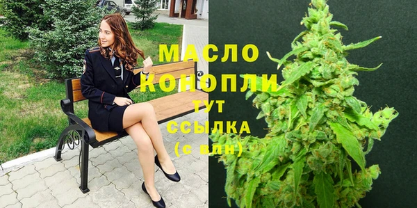 герыч Пересвет