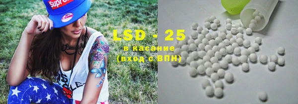 ПСИЛОЦИБИНОВЫЕ ГРИБЫ Новодвинск