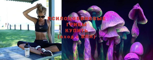 гидропоника Пестово