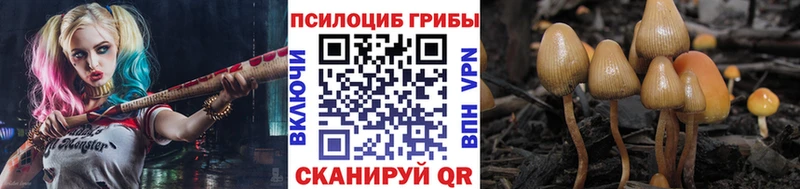 сайты даркнета наркотические препараты  Алейск  Псилоцибиновые грибы Psilocybine cubensis  ОМГ ОМГ как войти 