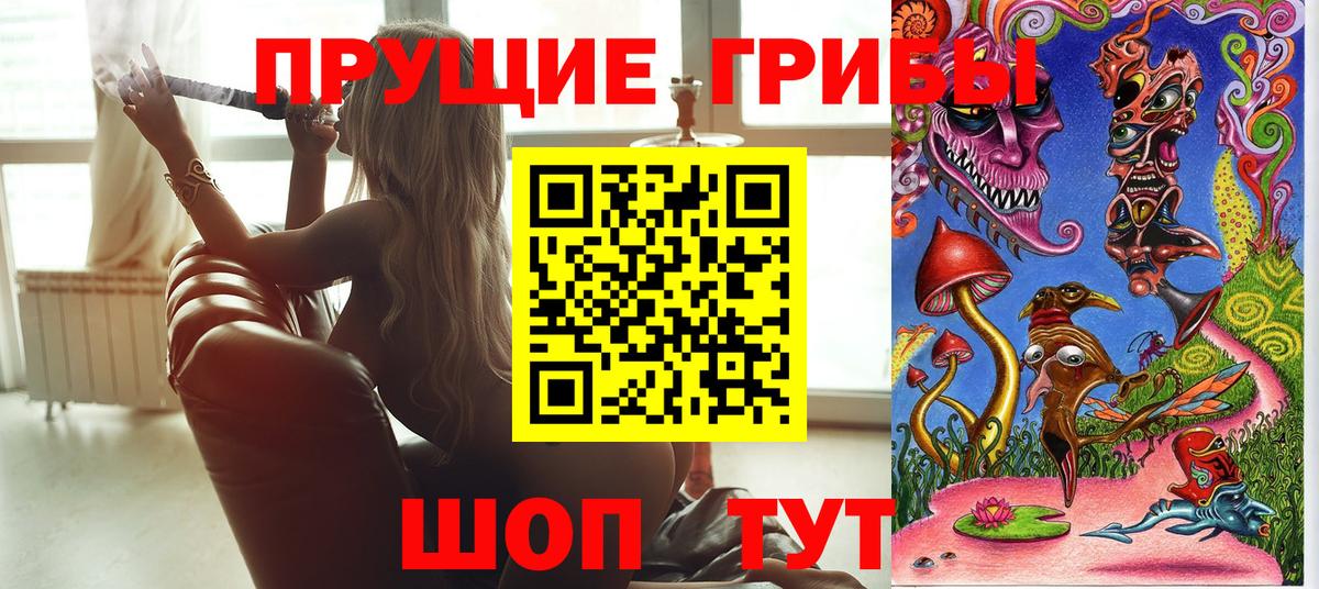Алейск  Псилоцибиновые грибы GOLDEN TEACHER  продажа наркотиков  Вход с VPN 