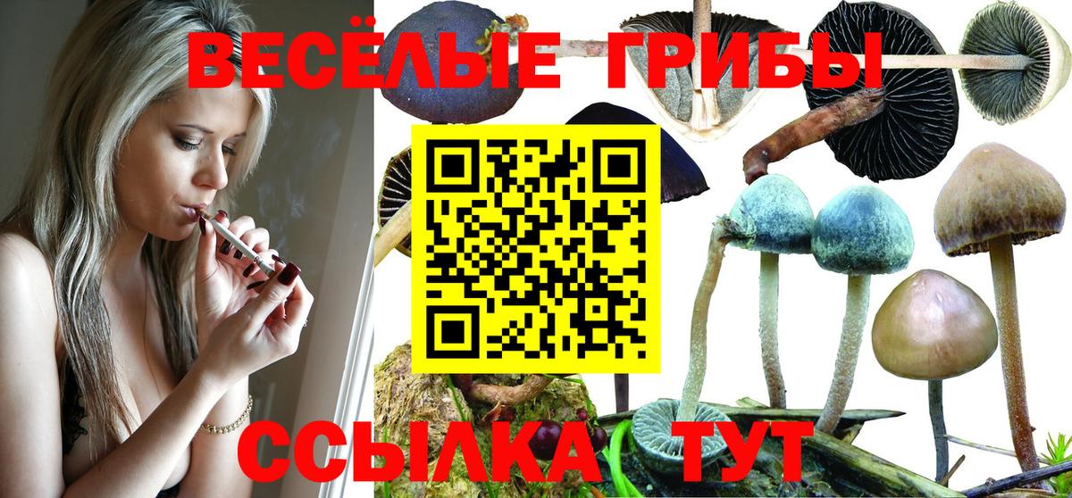 Галлюциногенные грибы ЛСД Алейск