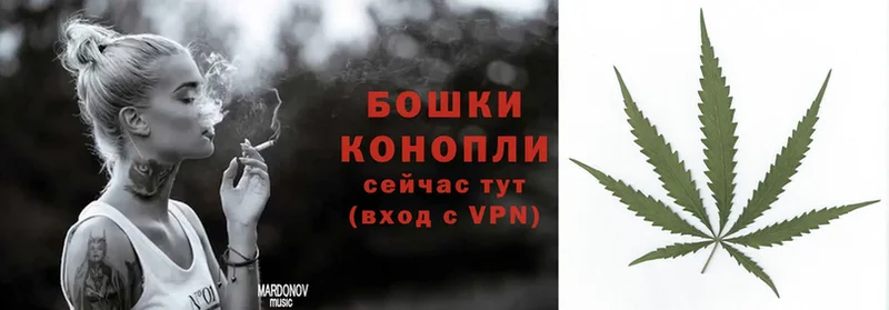 закладки Алейск Шишки марихуана OG Kush