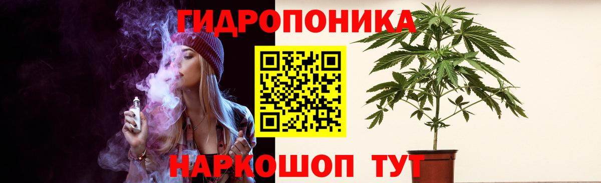 МАРИХУАНА гибрид  Бошки марихуана Bruce Banner  Бошки марихуана гибрид  Бошки марихуана тримм  Алейск 